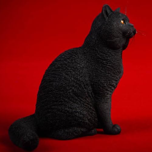 Figura de gato coleccionable JXK: Gato de pelo corto, pintada a mano por expertos, realista, de resina segura, miniatura a escala 1:6.
