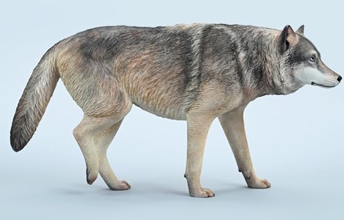 Figura de lobo coleccionable JXK: Lobo gris común, pintada a mano por expertos, realista, resina segura, miniatura a escala 1:6, JXK223A1