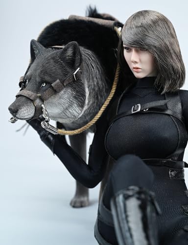 Figura de lobo coleccionable JXK: Lobo gris común, pintada a mano por expertos, realista, resina segura, miniatura a escala 1:6, JXK223A1