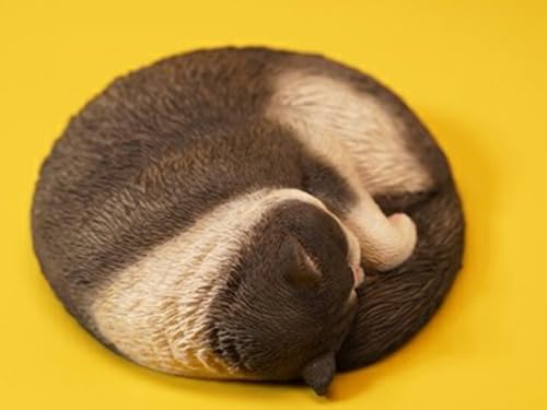 Figura de gato coleccionable JXK: Sleepy Cat 3.0, pintada a mano por expertos, realista, de resina segura, miniatura a escala 1:6.