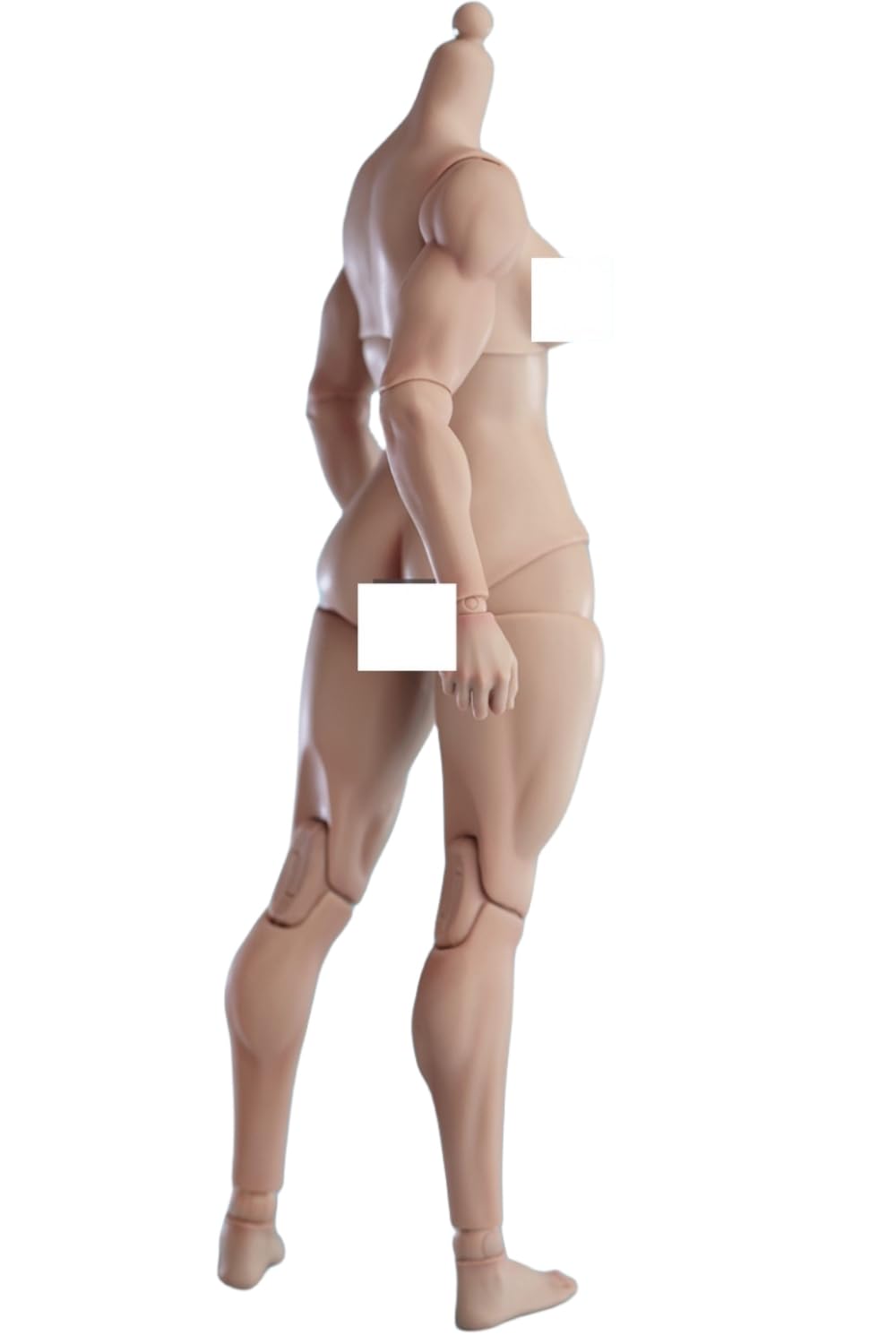 Figura de acción femenina Worldbox a escala 1:6, cuerpo musculoso, busto mediano, piel color trigo.
