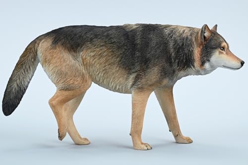 Figura de lobo coleccionable JXK: Lobo gris común, pintada a mano por expertos, realista, resina segura, miniatura a escala 1:6, JXK223A1