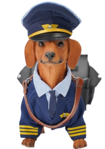 Figura de perro coleccionable JXK: Dachshund, pintada a mano por expertos, realista, de resina segura, miniatura a escala 1:6, JXK163