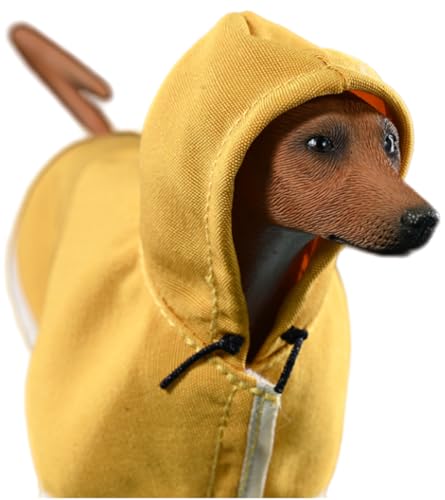 Figura de perro coleccionable JXK: Azawakh, pintada a mano por expertos, de resina realista y segura, miniatura a escala 1:6, JXK192A