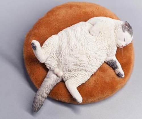 Figura de gato coleccionable JXK: Gato letárgico, pintada a mano por expertos, realista, resina segura, miniatura a escala 1:6.