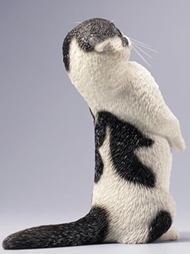 Figura de gato coleccionable JXK: Scottish Fold, pintada a mano por expertos, realista, resina segura, miniatura a escala 1:6