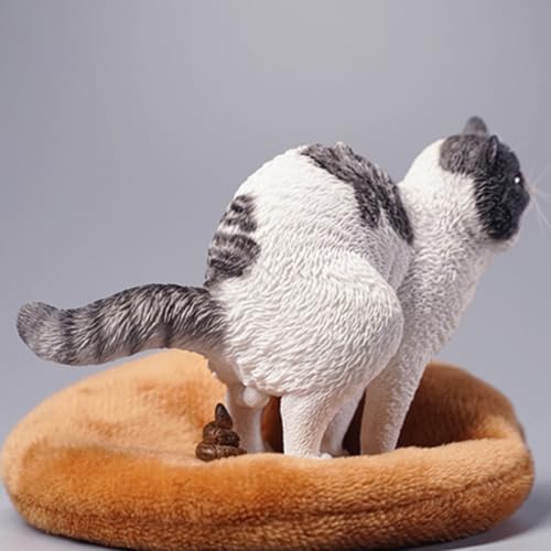 Figura de gato coleccionable JXK: exótico de pelo corto en cuclillas, pintado a mano por expertos, resina realista y segura, miniatura a escala 1:6.