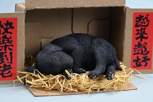 Figura de perro coleccionable JXK: Labrador en posición de dormir, pintada a mano por expertos, resina realista y segura, miniatura a escala 1:4.