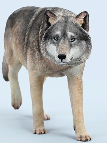 Figura de lobo coleccionable JXK: Lobo gris común, pintada a mano por expertos, realista, resina segura, miniatura a escala 1:6, JXK223A1