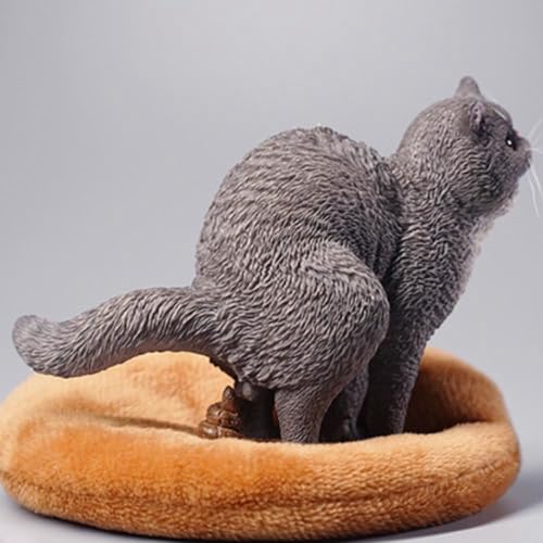 Figura de gato coleccionable JXK: exótico de pelo corto en cuclillas, pintado a mano por expertos, resina realista y segura, miniatura a escala 1:6.