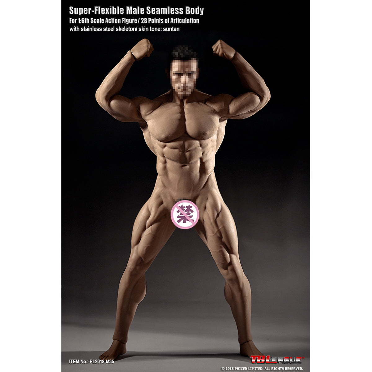 TBLeague, Seamless Male Muscular Body Suntan-Skin, Action Figures Body