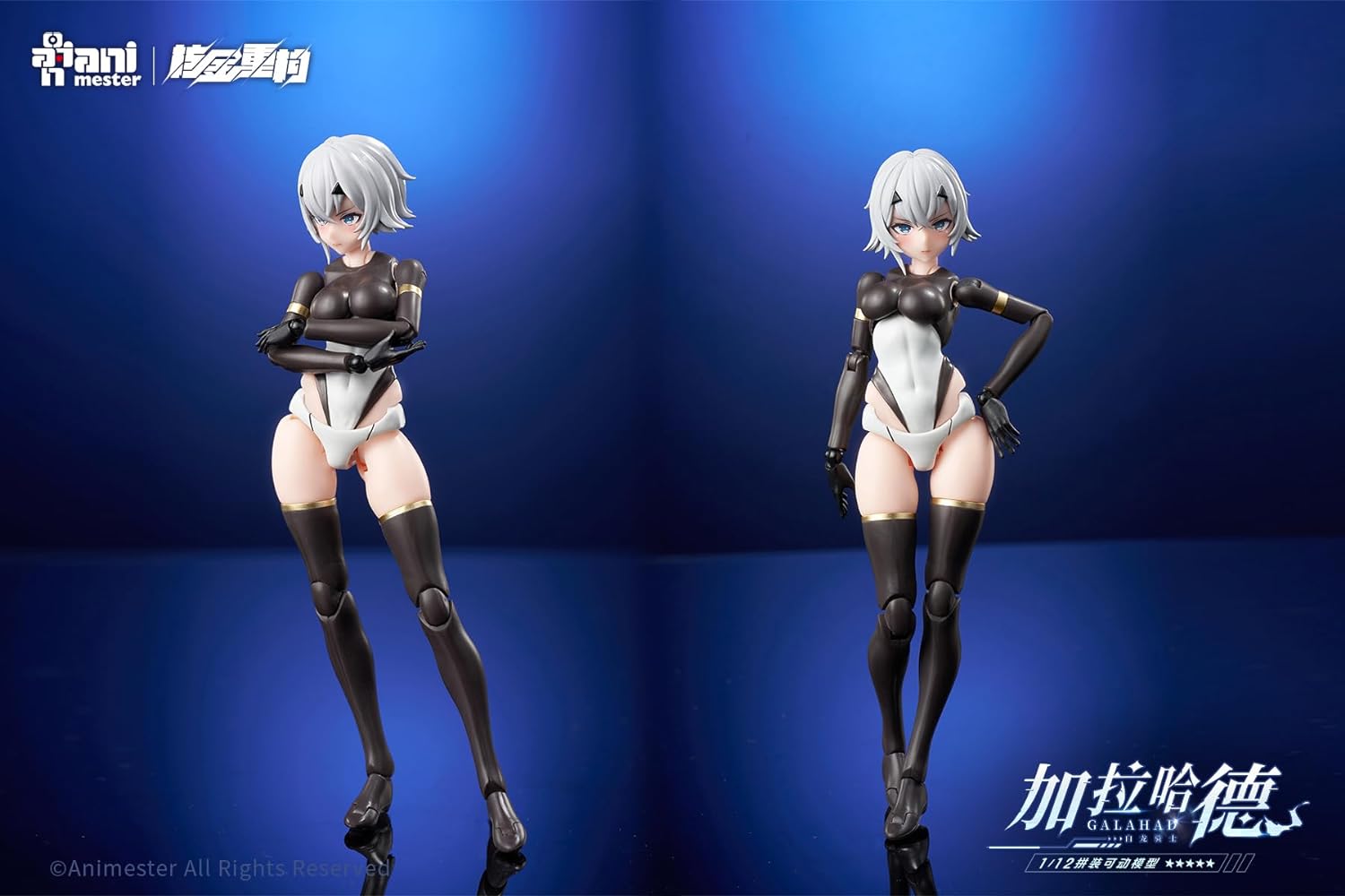 Kits de modelos de plástico de Galahad: Caballero Dragón Blanco de Animester