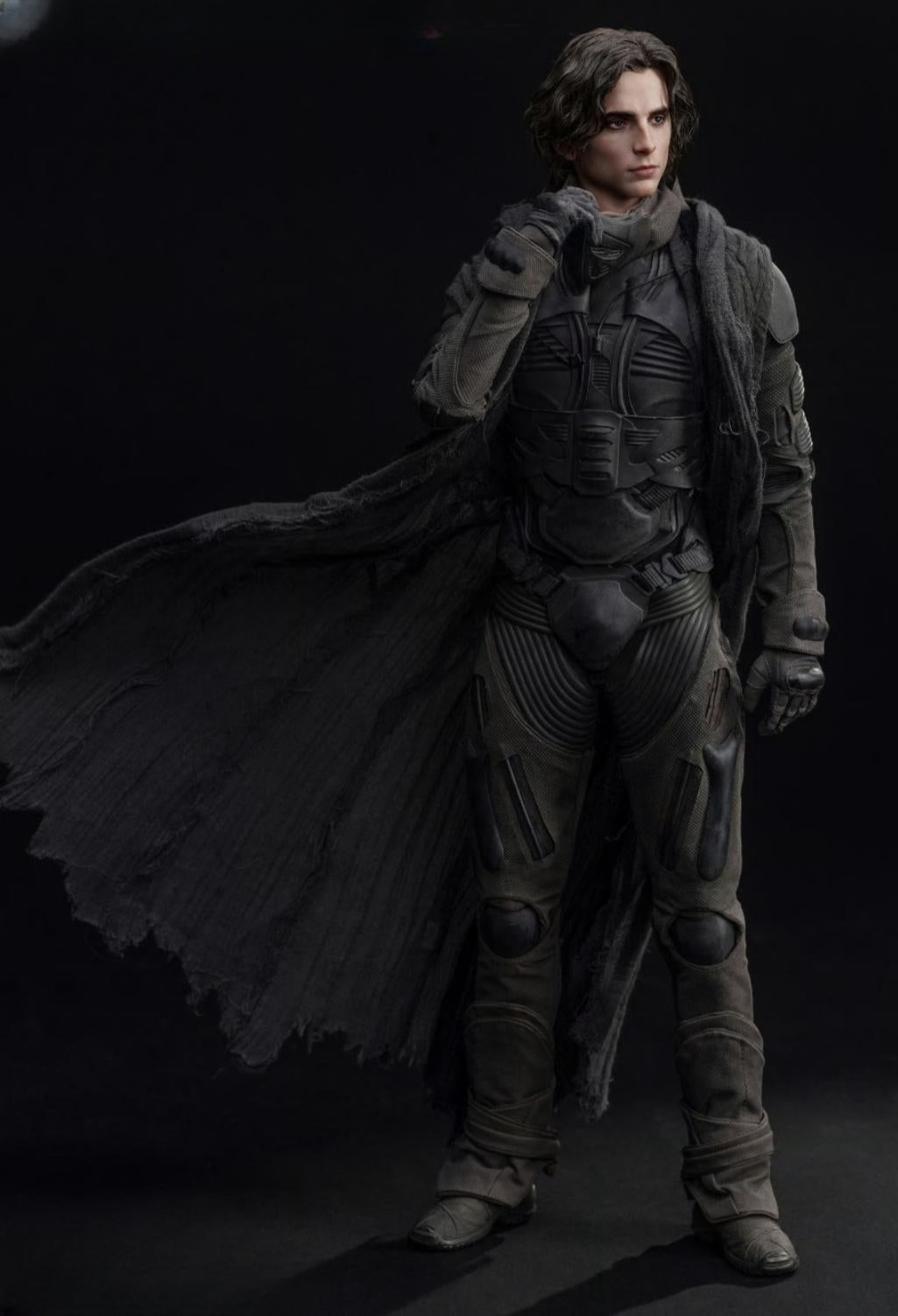 INART Collectible Figure Full Set: Paul Atreides, Movable Eye Design, 1:6 Scale Miniature Male Action Figurine Standard Version BLBZB