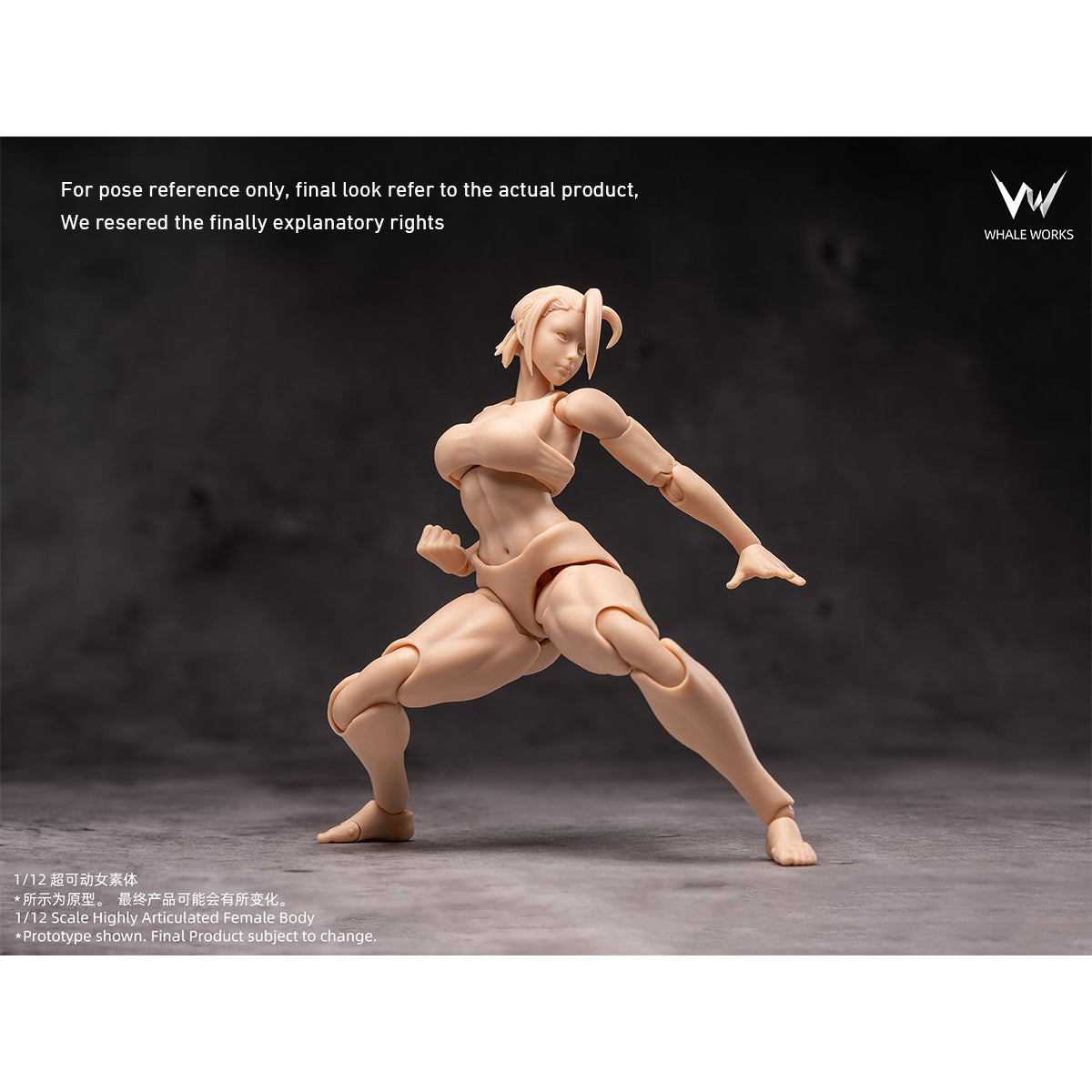 WHALE WORKS Articulated Joints Female WW01-A ARIA Large Bust WW02-A RIN Large Bust 1/12 Scale Action Figure Body