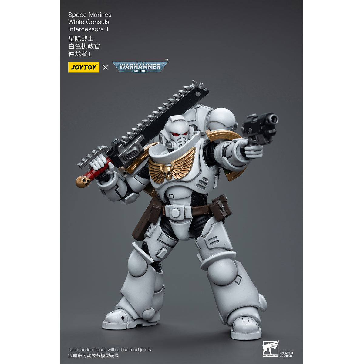 JOYTOY Warhammer 40,000 JT6847 Space Marines White Consuls Intercessors 01 1/18 Scale Action Figure
