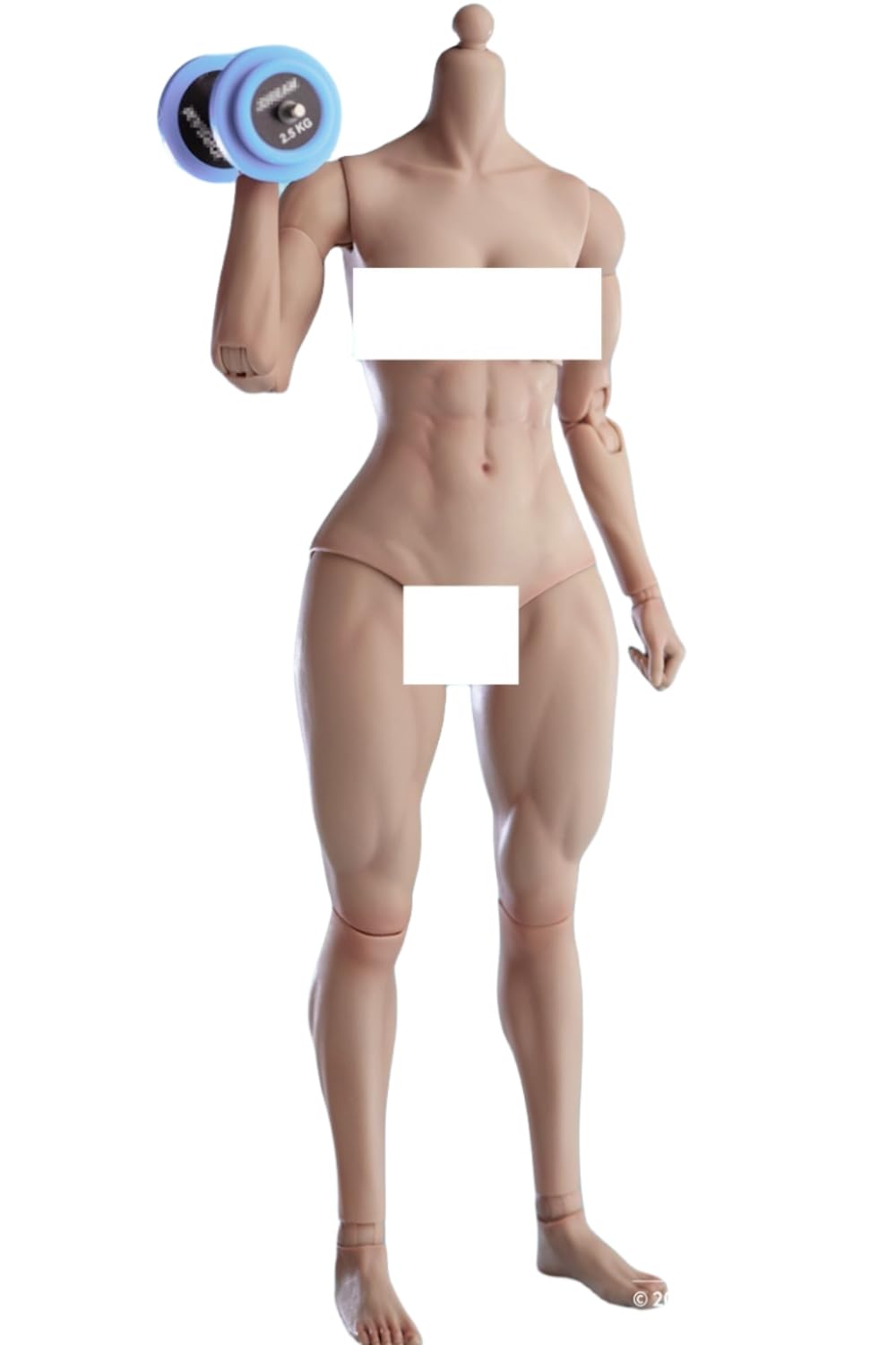 Figura de acción femenina Worldbox a escala 1:6, cuerpo musculoso, busto mediano, piel color trigo.