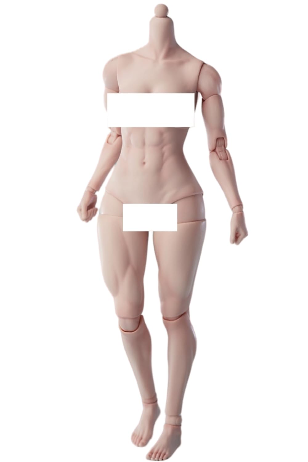 Figura de acción femenina Worldbox a escala 1:6, cuerpo musculoso, busto mediano, piel color trigo.