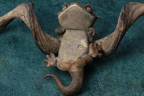 Figura de perro coleccionable JXK: Gecko de pestañas, pintada a mano por expertos, realista, resina segura, miniatura a escala 1:1