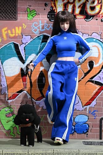 Figura de perro coleccionable JXK: Caniche negro aterciopelado, pintado a mano por expertos, resina realista y segura, miniatura a escala 1:6.