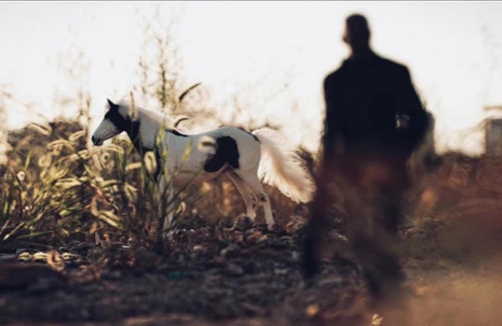 Figura de caballo coleccionable JXK: Caballo americano de pintura blanca pardusca, pintado a mano por expertos, resina realista y segura, miniatura a escala 1:6.