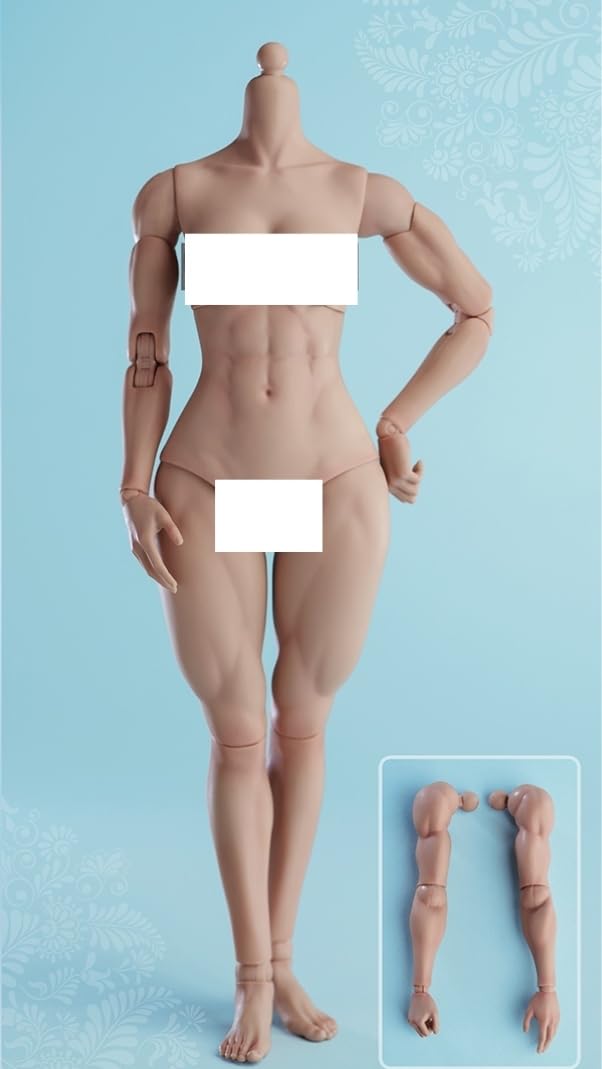 Figura de acción femenina Worldbox a escala 1:6, cuerpo musculoso, busto mediano, piel color trigo.