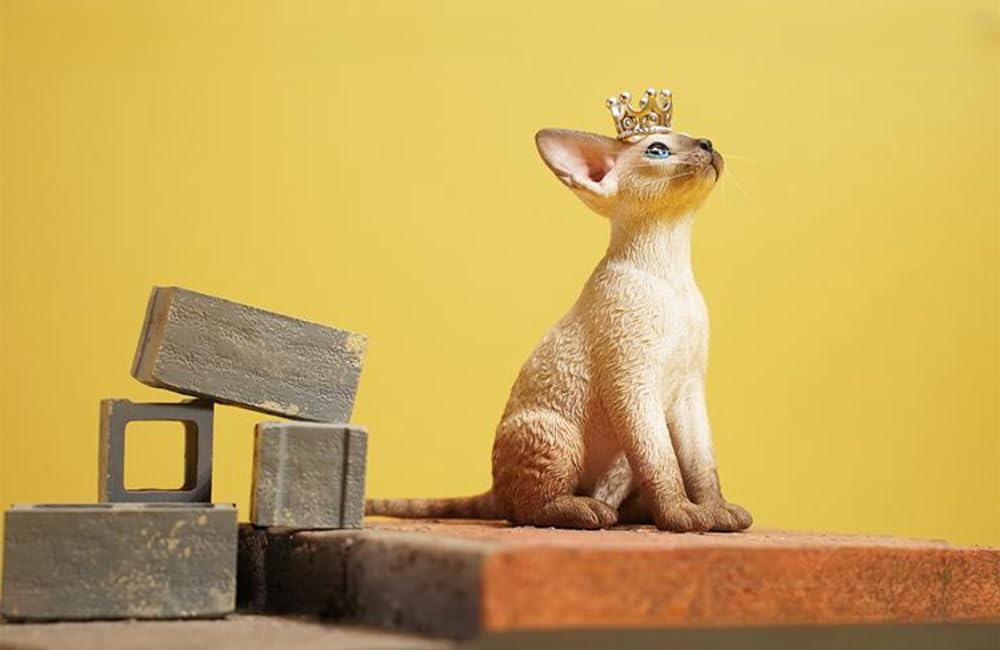 Figurine de chat de collection JXK : Deon Rex, figurine animale miniature à l'échelle 1:6