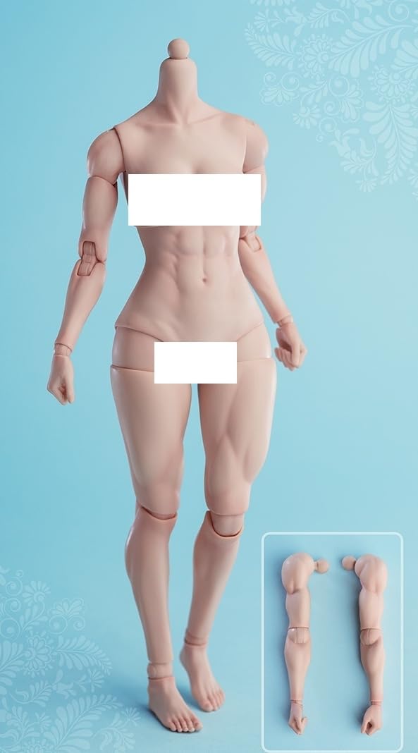 Figura de acción femenina Worldbox a escala 1:6, cuerpo musculoso, busto mediano, piel color trigo.
