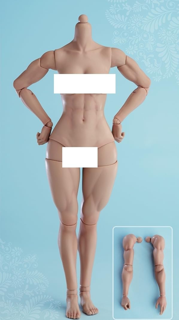 Figura de acción femenina Worldbox a escala 1:6, cuerpo musculoso, busto mediano, piel color trigo.