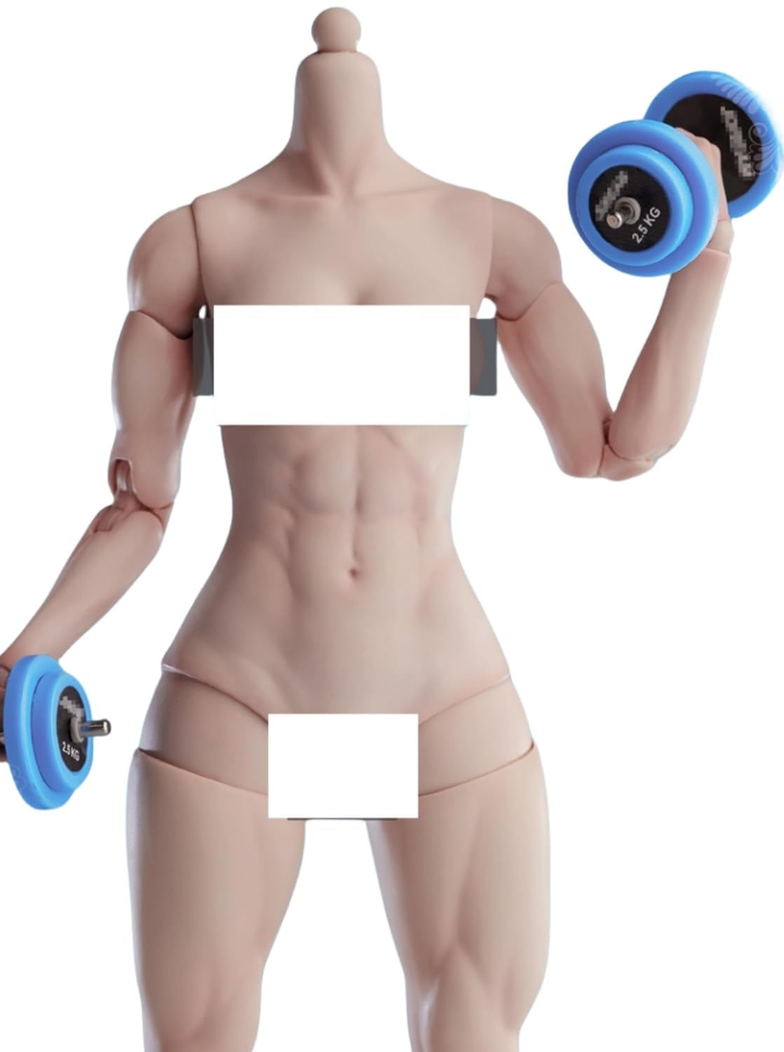 Figura de acción femenina Worldbox a escala 1:6, cuerpo musculoso, busto mediano, piel color trigo.