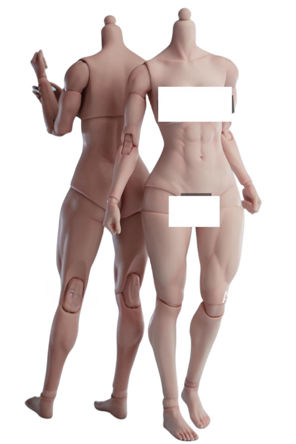 Figura de acción femenina Worldbox a escala 1:6, cuerpo musculoso, busto mediano, piel color trigo.