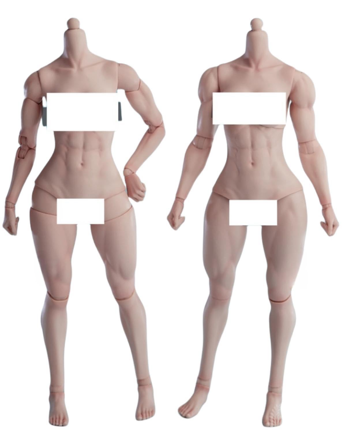 Figura de acción femenina Worldbox a escala 1:6, cuerpo musculoso, busto mediano, piel color trigo.