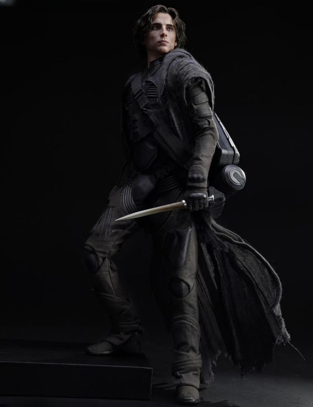 INART Collectible Figure Full Set: Paul Atreides, Movable Eye Design, 1:6 Scale Miniature Male Action Figurine Standard Version BLBZB