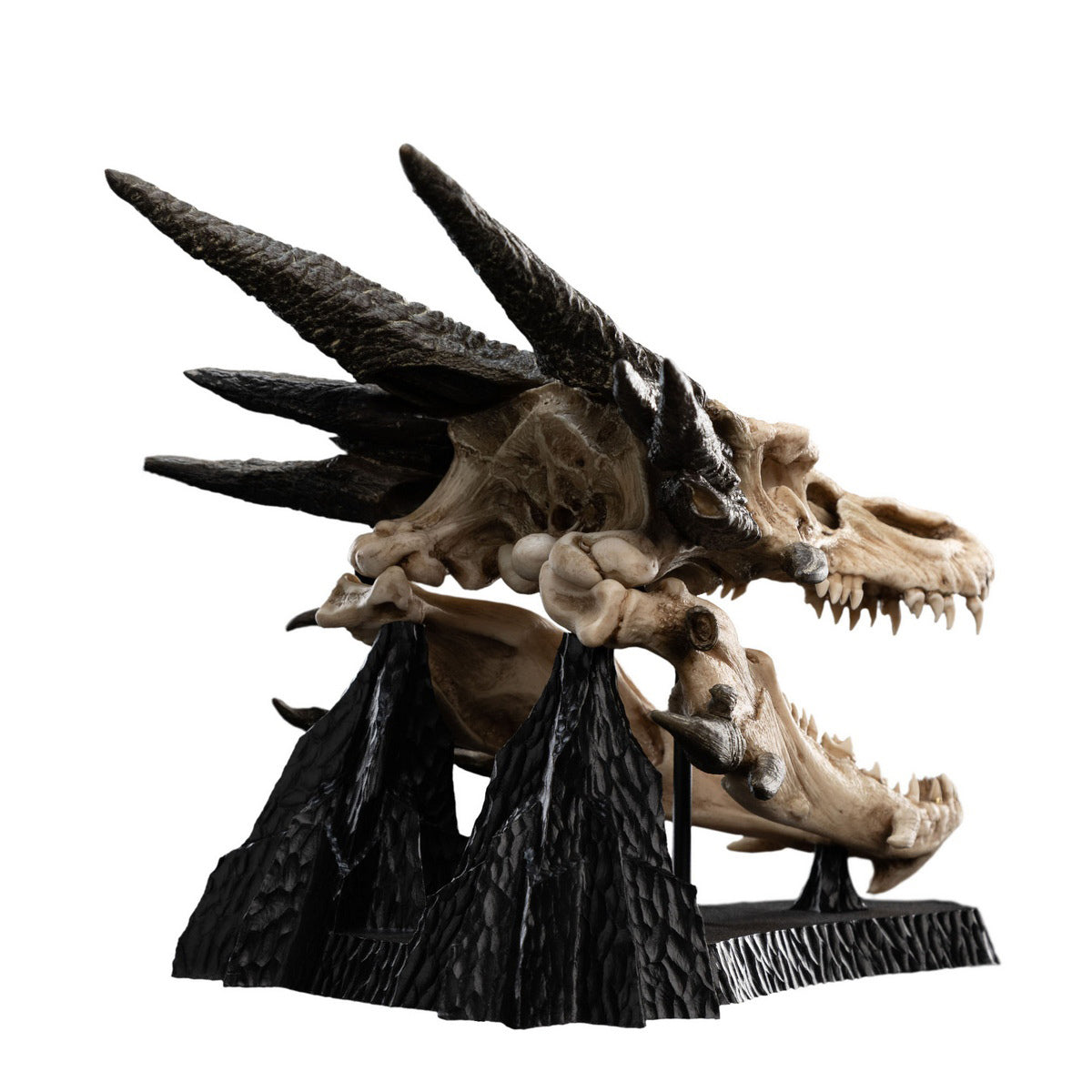 WETA Workshop The Hobbit Trilogy Skull Miniature Skull of Smaug Art Figurine