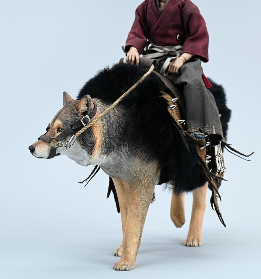 Figura de lobo coleccionable JXK: Lobo gris común, pintada a mano por expertos, realista, resina segura, miniatura a escala 1:6, JXK223A1