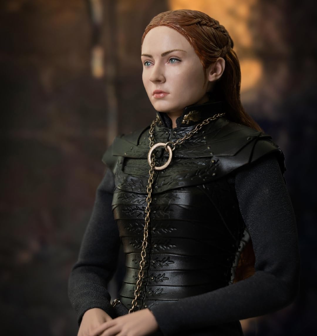 Figura de acción coleccionable a escala 1:6 de Daenerys/Sansa/Ser Jorah/Joffrey de Juego de Tronos de ThreeZero