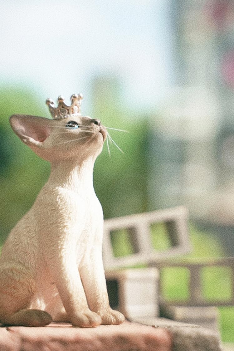 Figurine de chat de collection JXK : Deon Rex, figurine animale miniature à l'échelle 1:6