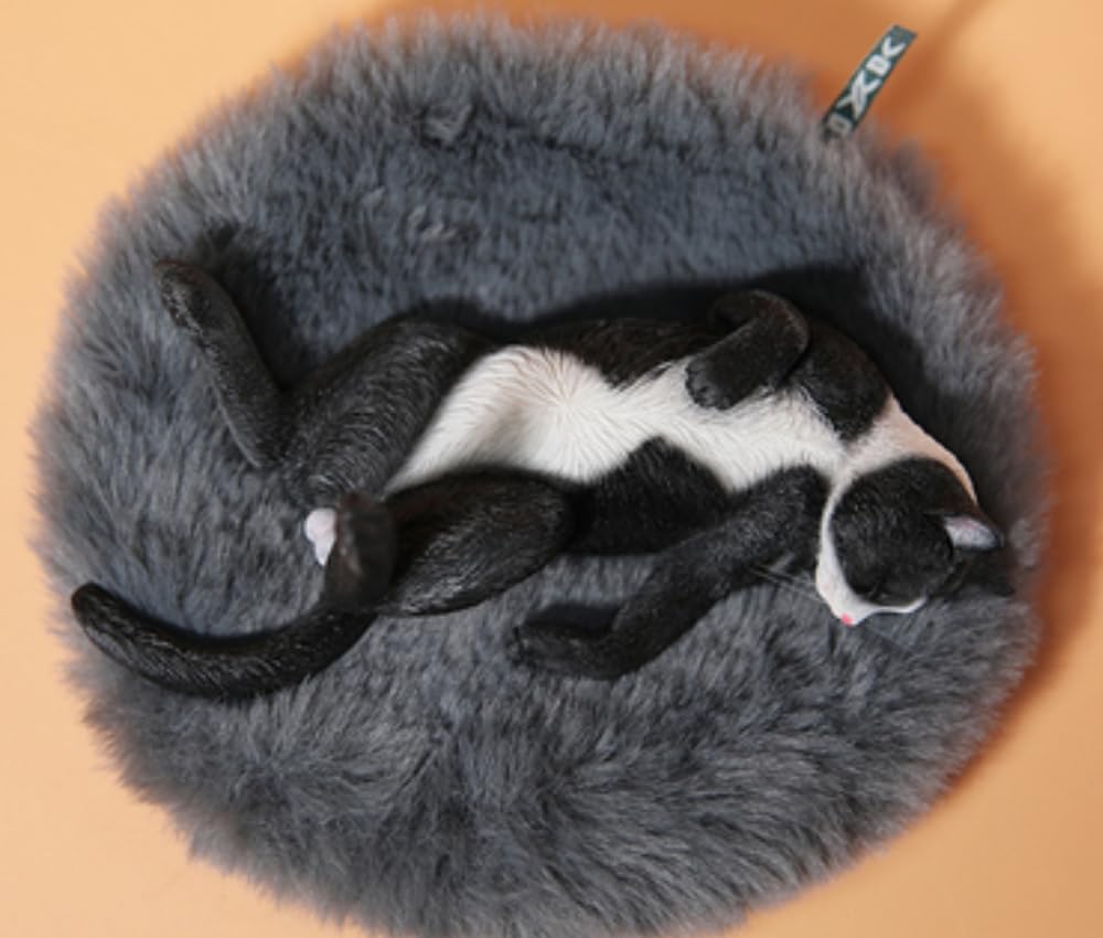 Figura de gato coleccionable JXK: Lethargic Cat 5.0, pintada a mano por expertos, realista, de resina segura, miniatura a escala 1:6.