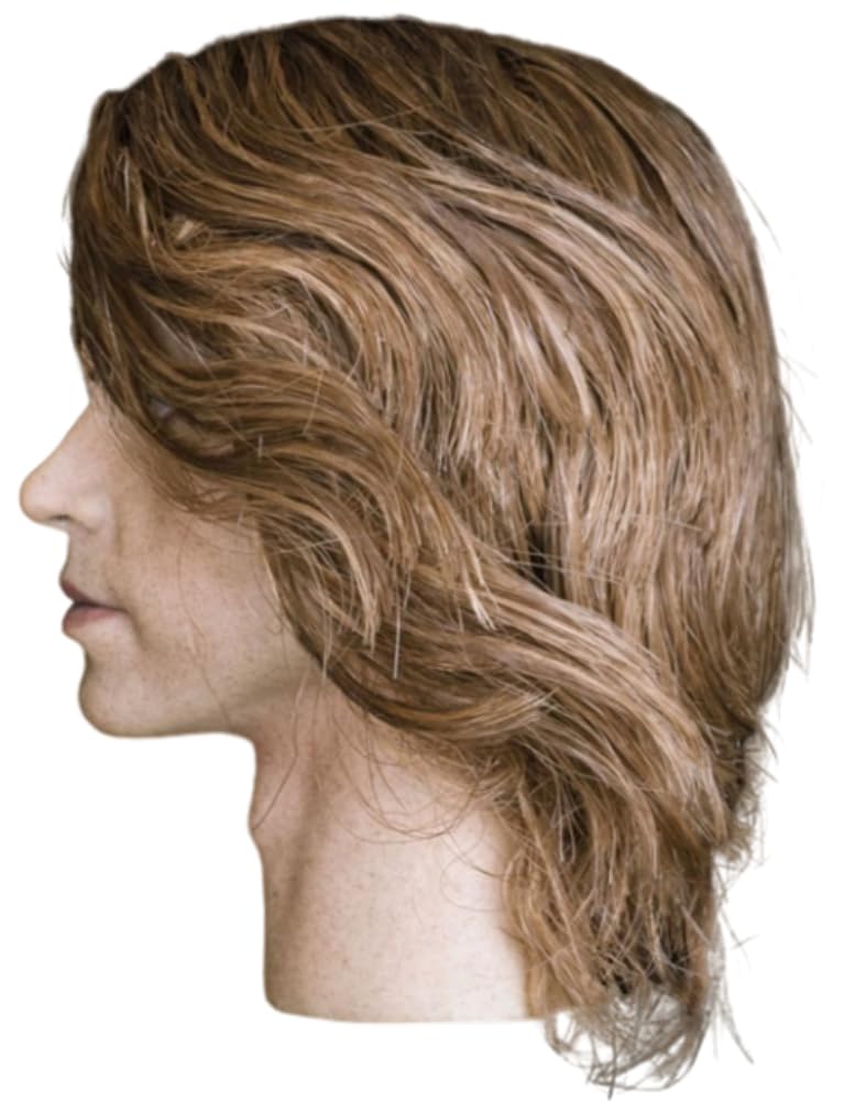 Escultura de cabeza masculina a escala 1:6, escultura de cabeza europea para acción de 12 pulgadas