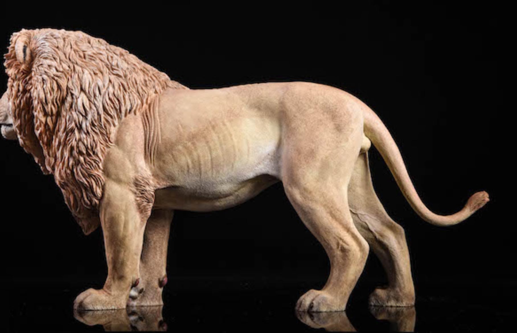 Figurine de lion de collection JXK : le lion, peinte à la main par des experts, réaliste, en résine sûre, figurine animale miniature à l'échelle 1:6