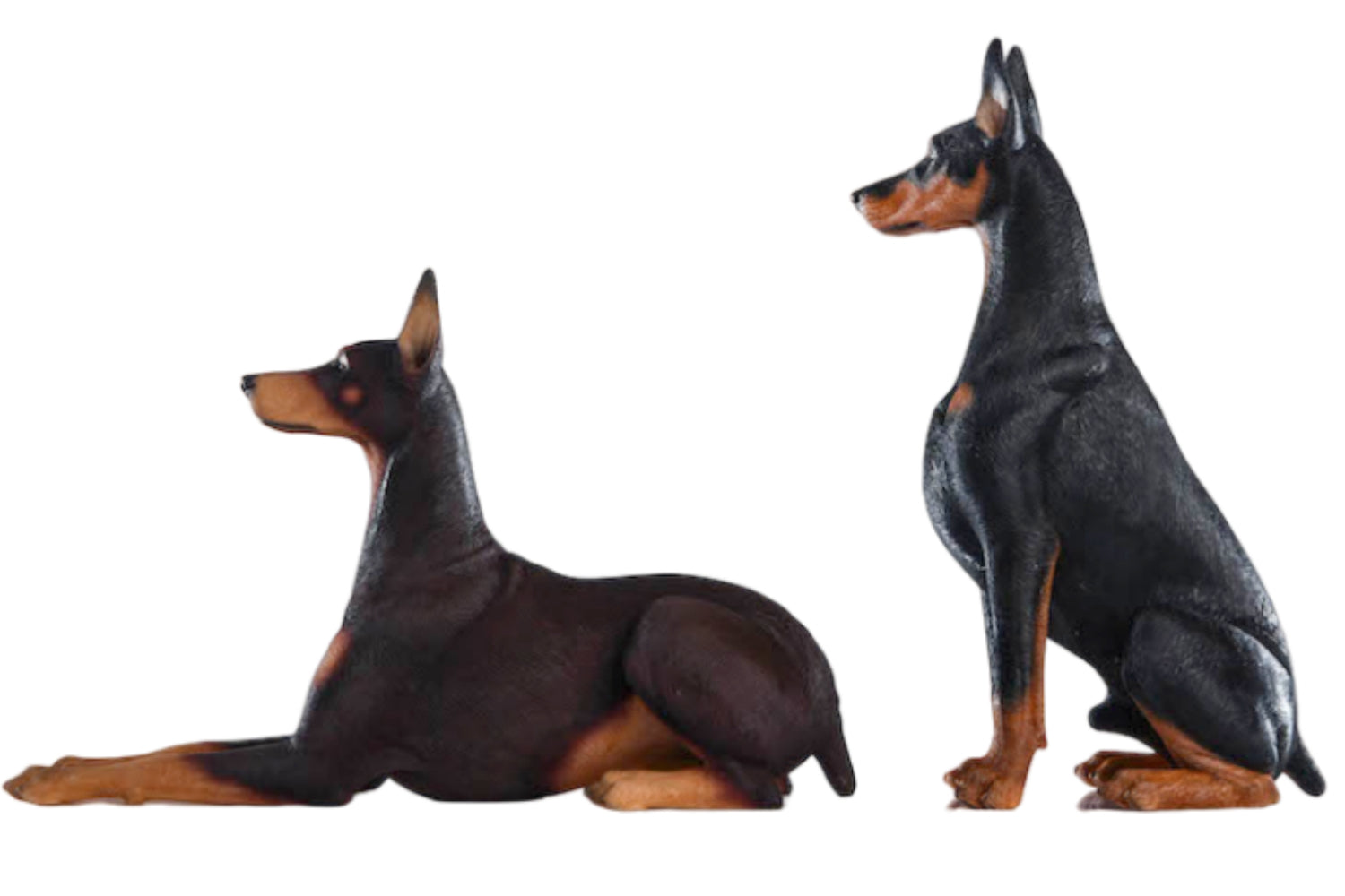 Figura de perro coleccionable JXK: Doberman Pinscher, pintada a mano por expertos, realista, de resina segura, miniatura a escala 1:6.