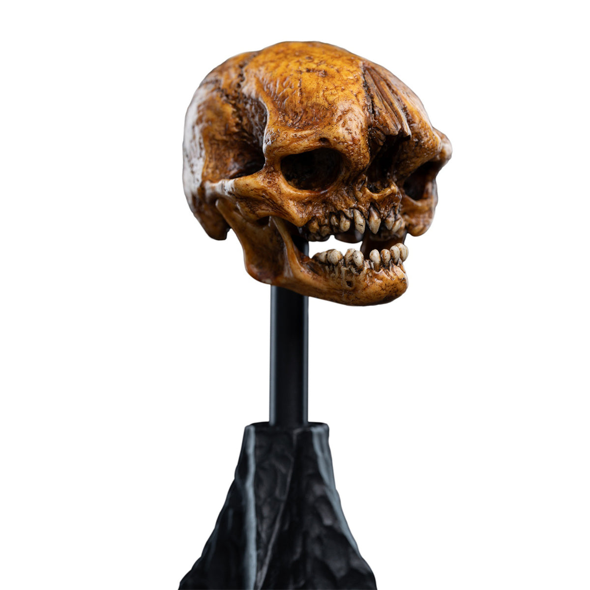 WETA Workshop The Hobbit Trilogy Skull Miniature Skull of a Misty Mountain Goblin Art Figurine