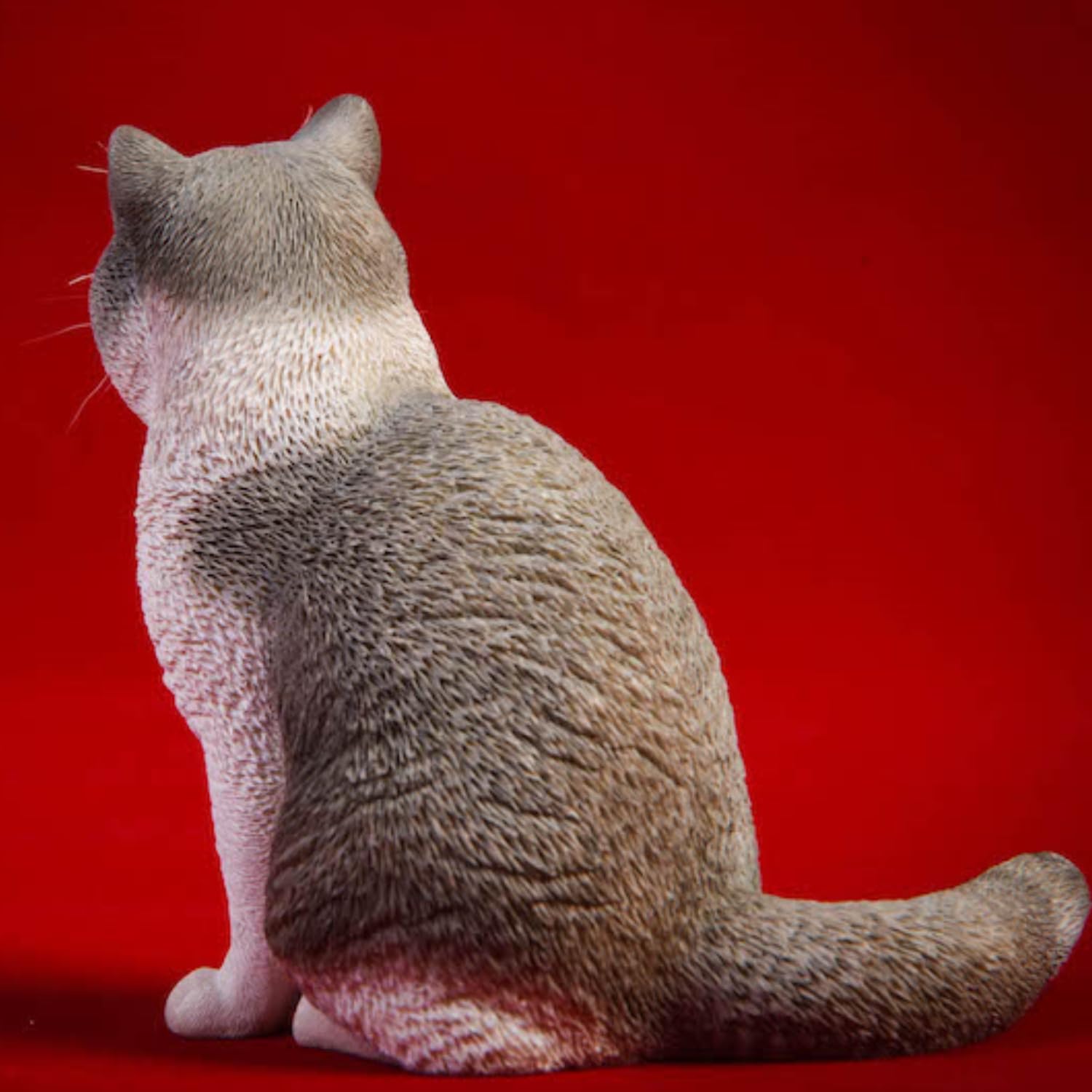 Figura de gato coleccionable JXK: Gato de pelo corto, pintada a mano por expertos, realista, de resina segura, miniatura a escala 1:6.