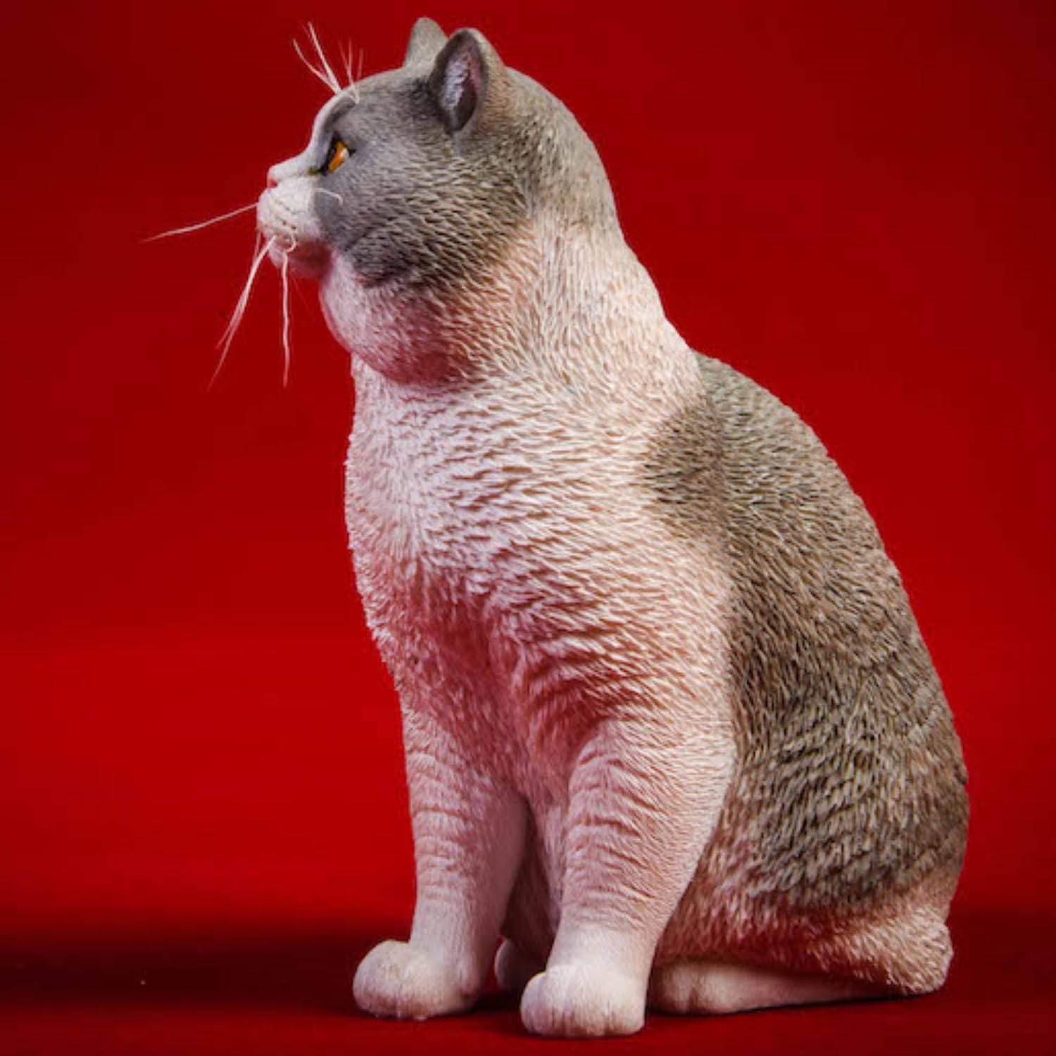 Figura de gato coleccionable JXK: Gato de pelo corto, pintada a mano por expertos, realista, de resina segura, miniatura a escala 1:6.