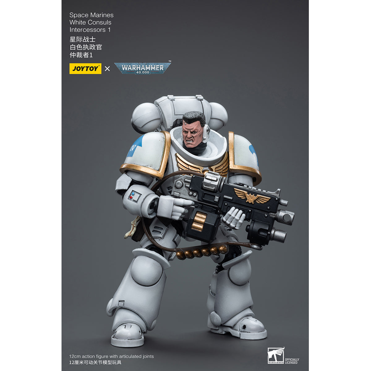 JOYTOY Warhammer 40,000 JT6847 Space Marines White Consuls Intercessors 01 1/18 Scale Action Figure