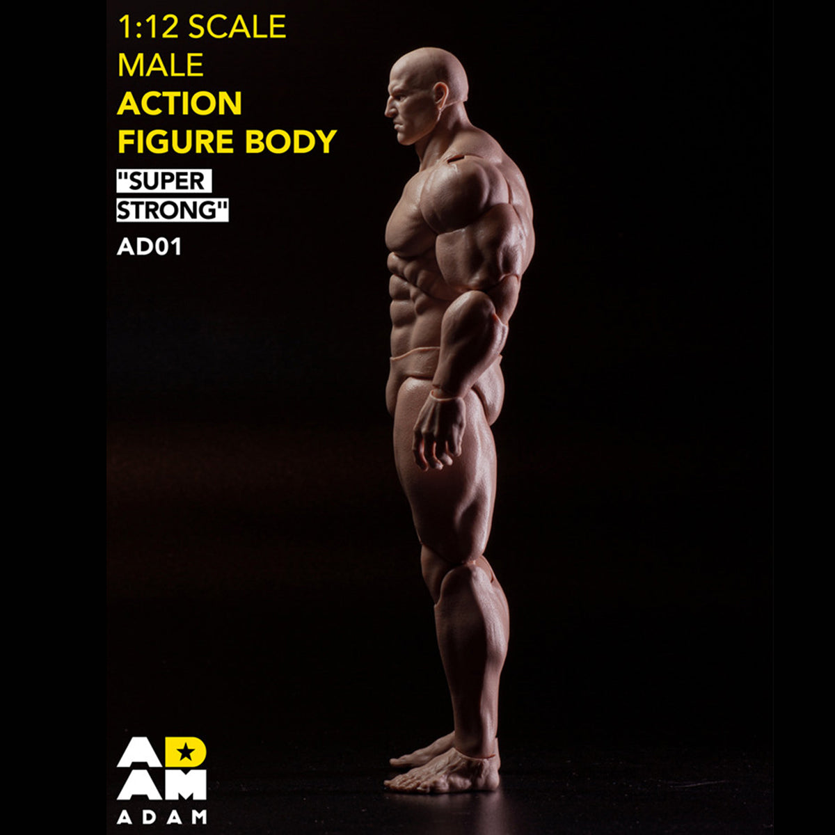 ADAM Articulated joints Male Muscular Suntan-Skined 1/12 Scale Action Figure Body