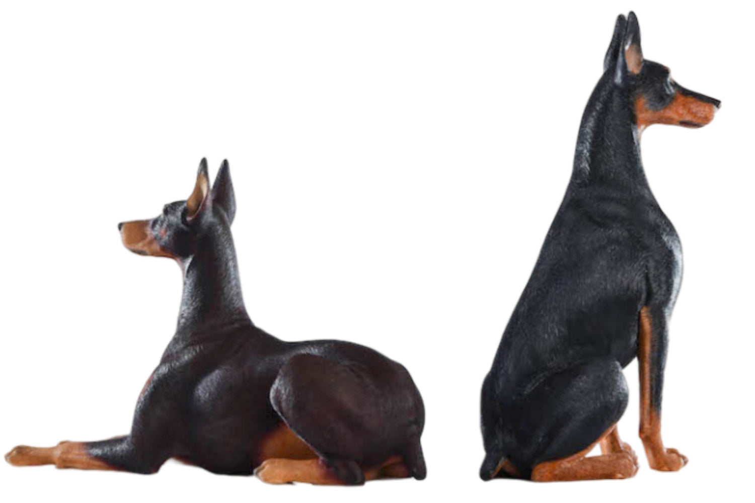 Figura de perro coleccionable JXK: Doberman Pinscher, pintada a mano por expertos, realista, de resina segura, miniatura a escala 1:6.