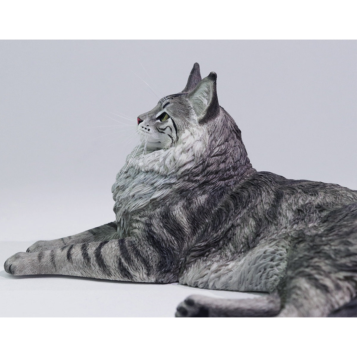 LIEJI, Silver Tiger Maine Coon, Static Expertly Hand-Painted Lifelike, 1/6 Scale Animal Figurine