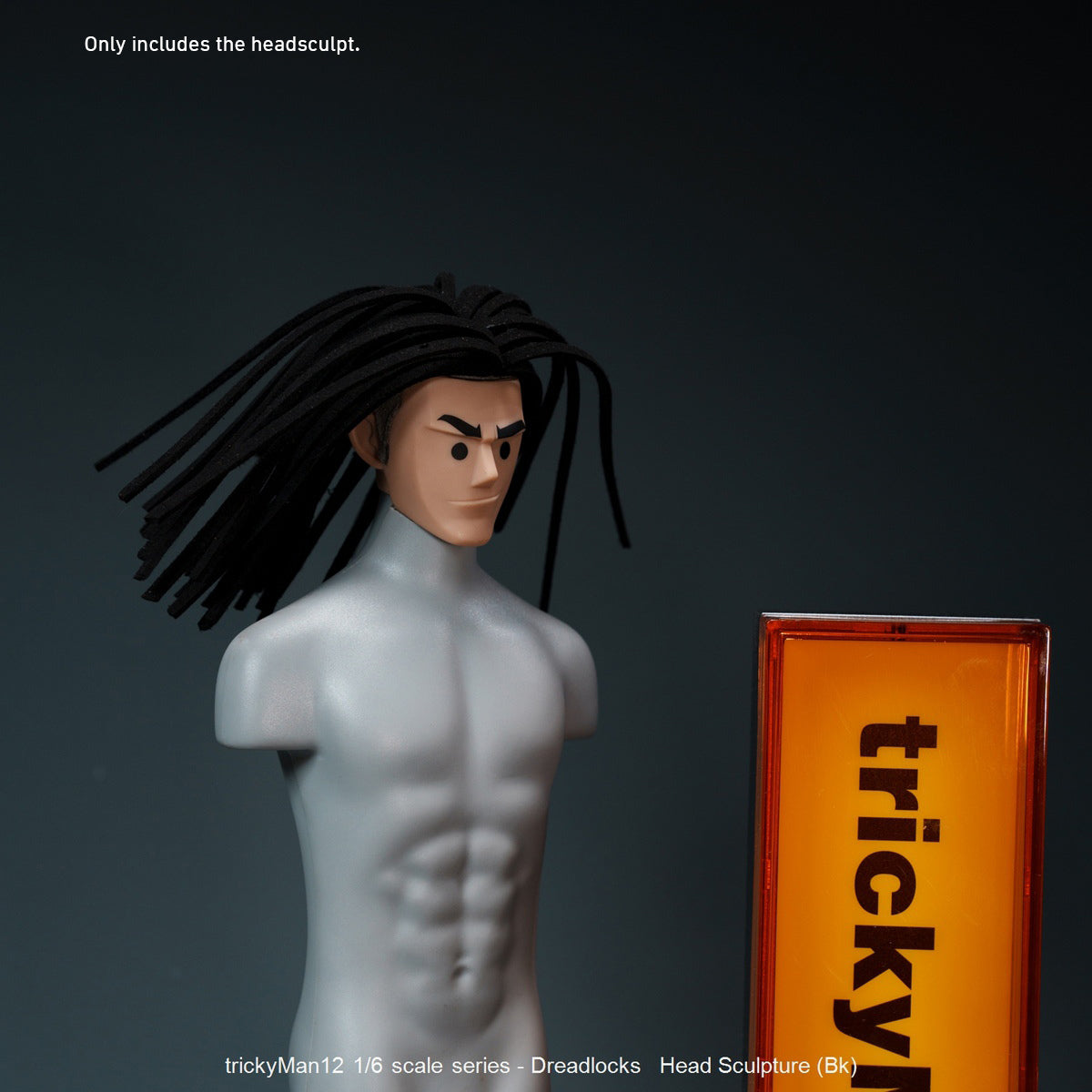 TrickyMan12 Dreadlocks Male Head Sculpt Black Hair FB-10083-1 Brown Hair FB-10083-5 Accessory 1/6 Scale Fit Action Figure