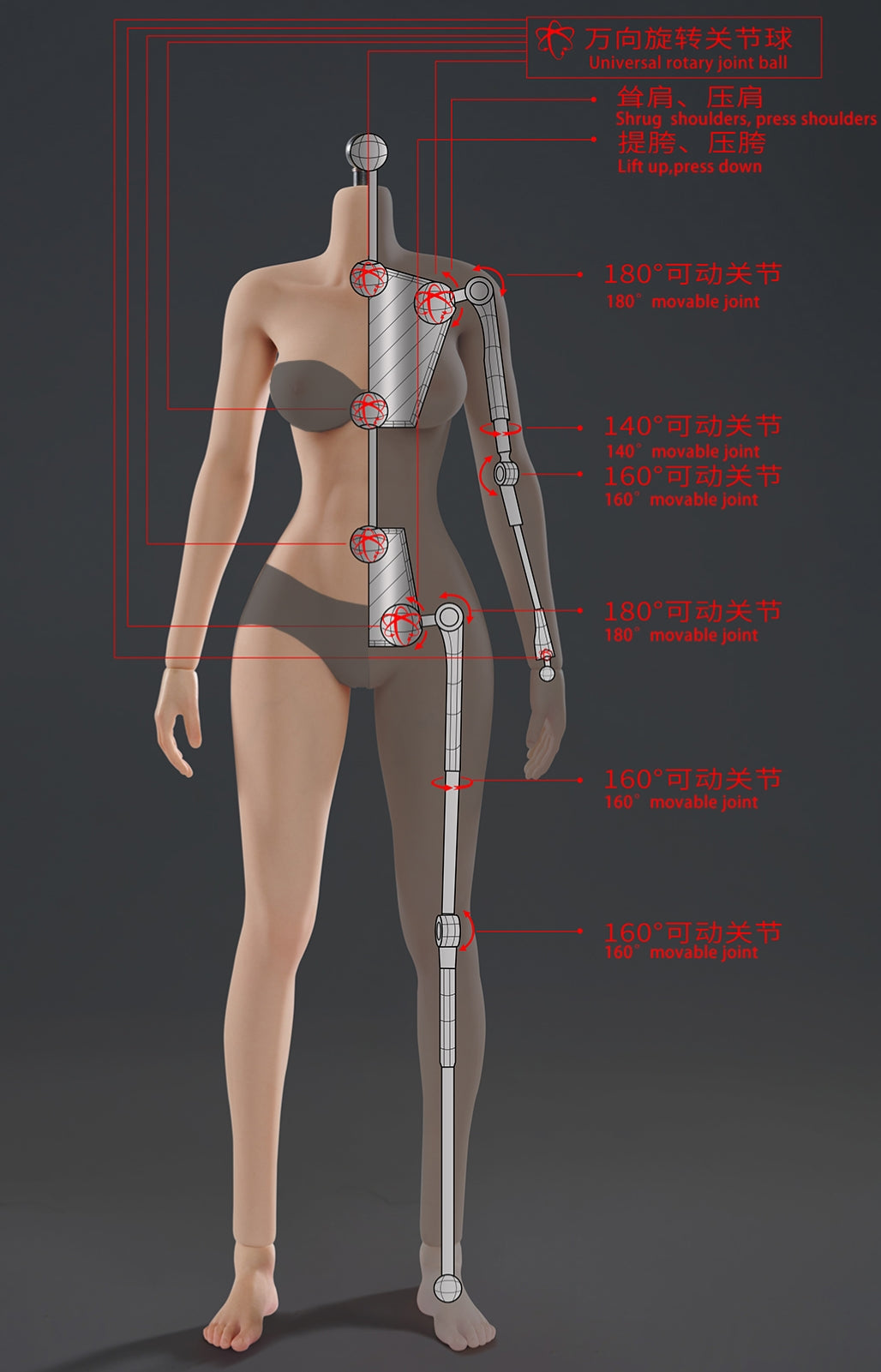 VERYCOOL Female Seamless Articulated Silicone Medium-Bust 1/6 Scale Action Figure Body