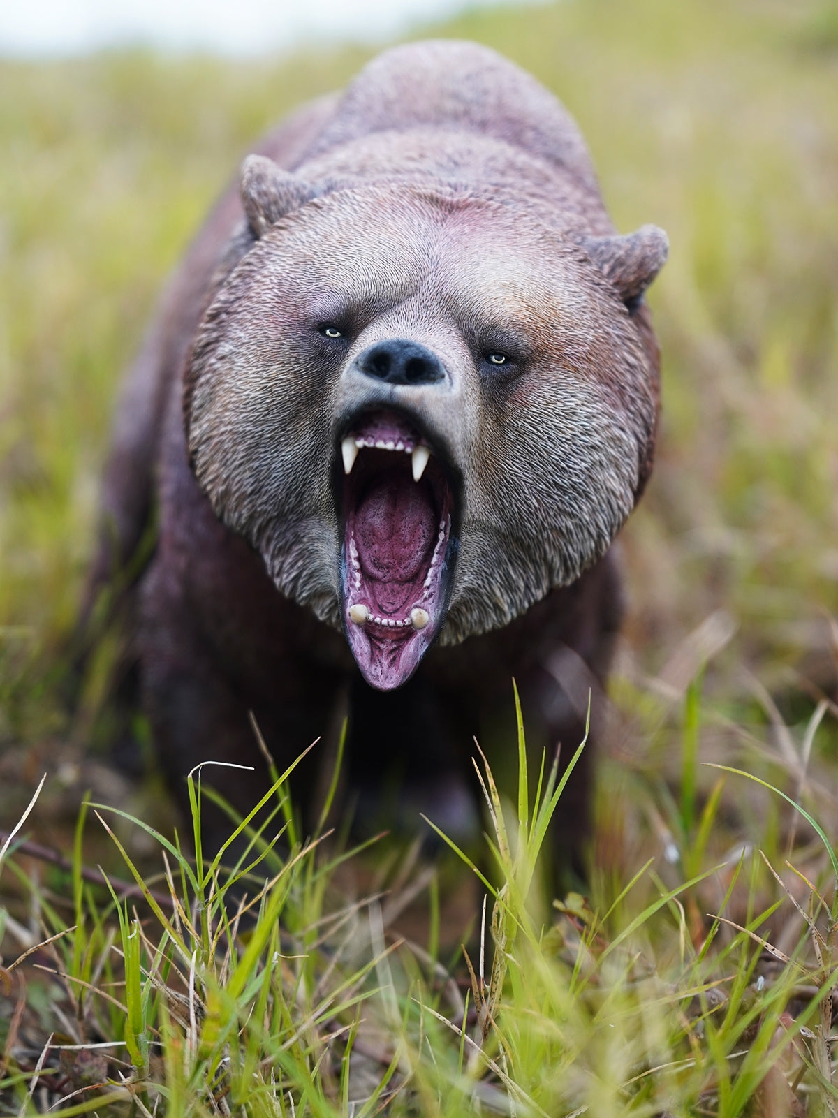JXK Collectible Bear Figure: Brown Bear 2.0, Expertly Hand-Painted, Lifelike, Safe Resin Miniature Animal Figurine